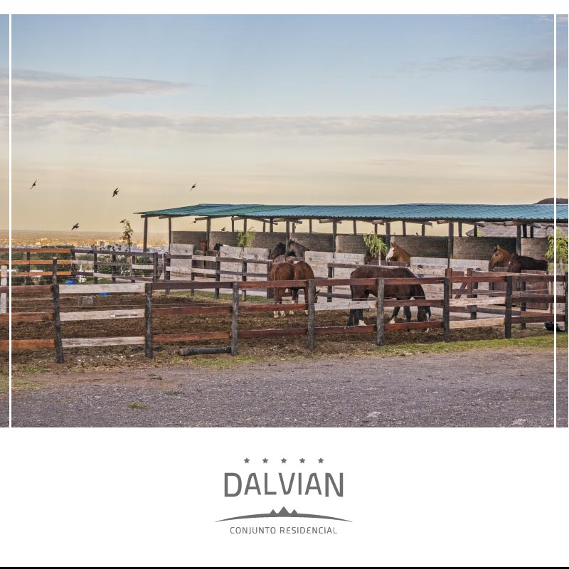 Este #findesemana disfrutá de cada espacio de tu barrio...#caballerizas son una de las propuestas! #ComunidadDalvian