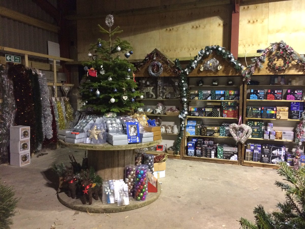 WoolleyXmasTree's tweet image. Opening tomorrow, Woolley Edge #ChristmasTree Farm. The barn is full of freshly cut premium trees and smells wonderful See our #reindeer too