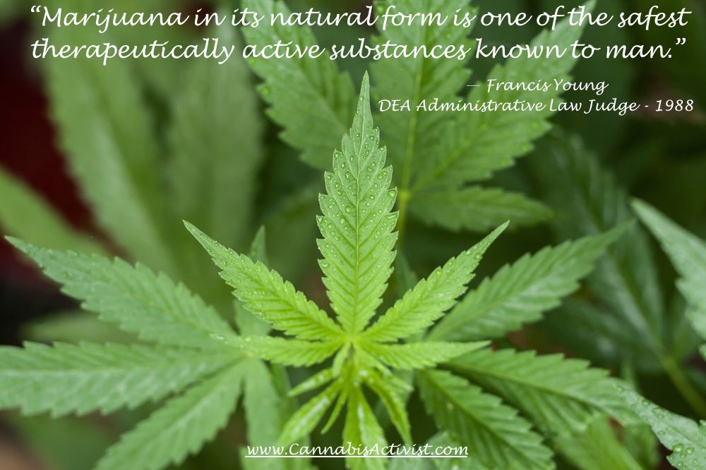 HempClothes's tweet photo. 🇺🇸🗽#Cannabis #Hemp #CannabisActivist #HempClothing #Activism #freedom #liberty 🗽🇺🇸#Kickstarter #crowdfunding https://t.co/cCr8KQ0ePH Share!! https://t.co/4XwJCrlavV