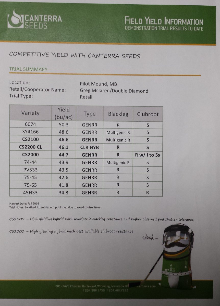 canterraseeds's tweet photo. Trial results from #PilotMound are in. #CS2100 #CS2200CL & #CS2000 yielded high! More info: https://t.co/GmKVOFr0Gj #canola #harvest16 https://t.co/YnnPscVFsG