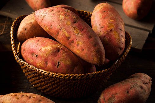 uie_hort's tweet photo. Do you know the difference between a sweet potato and a yam? https://t.co/J31PnVawPK @ILRiverHort https://t.co/RayBaQxqDZ