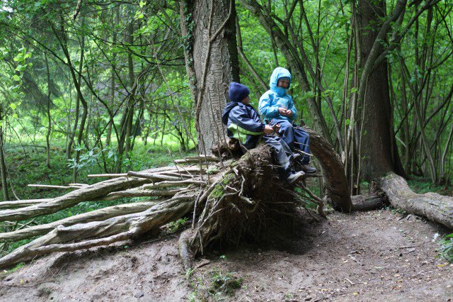 Let ‘Em Out! The Many Benefits of Outdoor Play In Kindergarten ow.ly/NC5S306vCLO