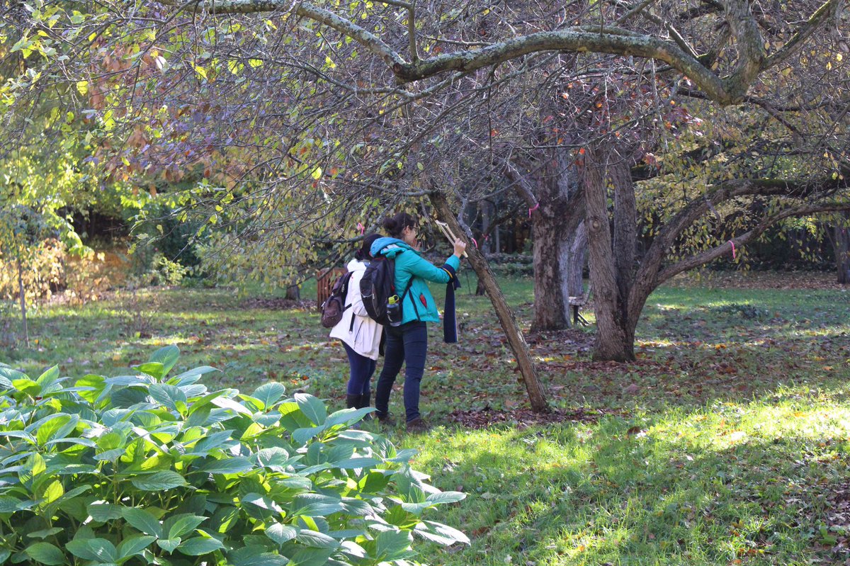 ImLichenit16's tweet photo. Want to learn about the research we did at the Morgan Arboretum? Check out our blogpost and videos! #ENVB222 https://t.co/kERqCxEHXr https://t.co/5KX496uLYb