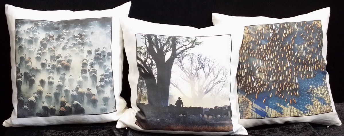 FionaLakeAus's tweet photo. Looking for Christmas pressies for anyone missing the bush? I have just the thing; custom-made 'outback' cushions: https://t.co/y1Y8EjfHAC https://t.co/x2RfTJAQ4v