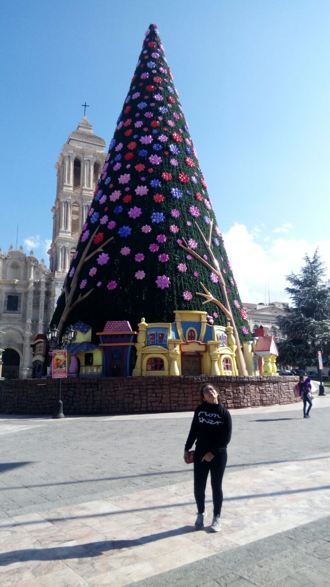 LilyyRamirez's tweet photo. S a l t i l l o 💓😘🎄 https://t.co/NofBp9eh4N