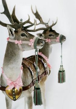 Ladies who.. (@ladieswho15) on Twitter photo <a href="/MicklegateBI/">Micklegate, York</a> Micklegate Xmas Mingle
Monday 19.12.16
5pm -8pm
Live Reindeers
Candy Cane Hunt
Orchestra & Carols
Barber Shop music
Lots more <a href="/MicklegateBI/">Micklegate, York</a> Micklegate Xmas Mingle
Monday 19.12.16
5pm -8pm
Live Reindeers
Candy Cane Hunt
Orchestra & Carols
Barber Shop music
Lots more