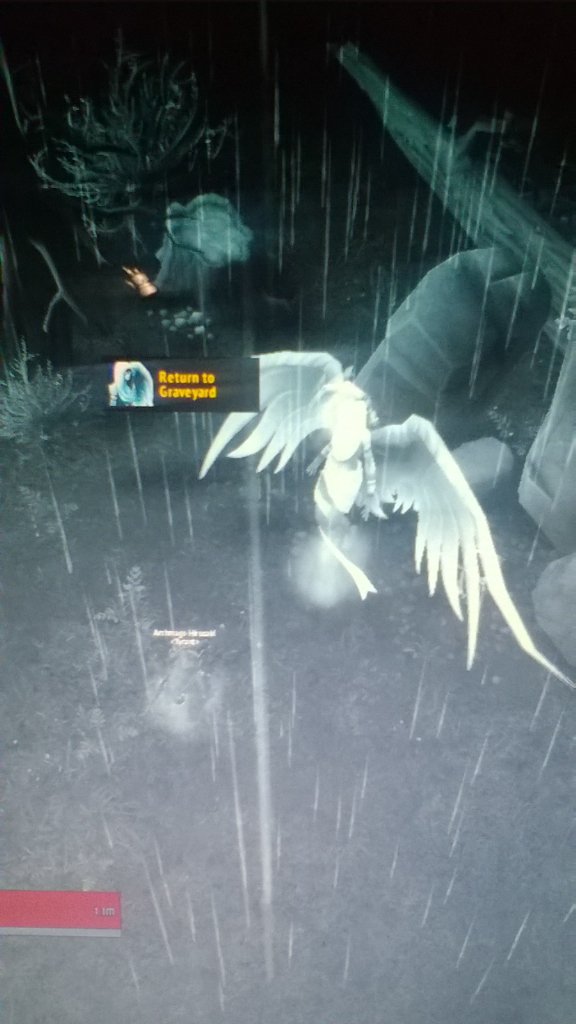 skunkywow's tweet photo. Thanks batman... At least 2 times a night. #DistractionCat #Warcraft https://t.co/iWhONjSkAN