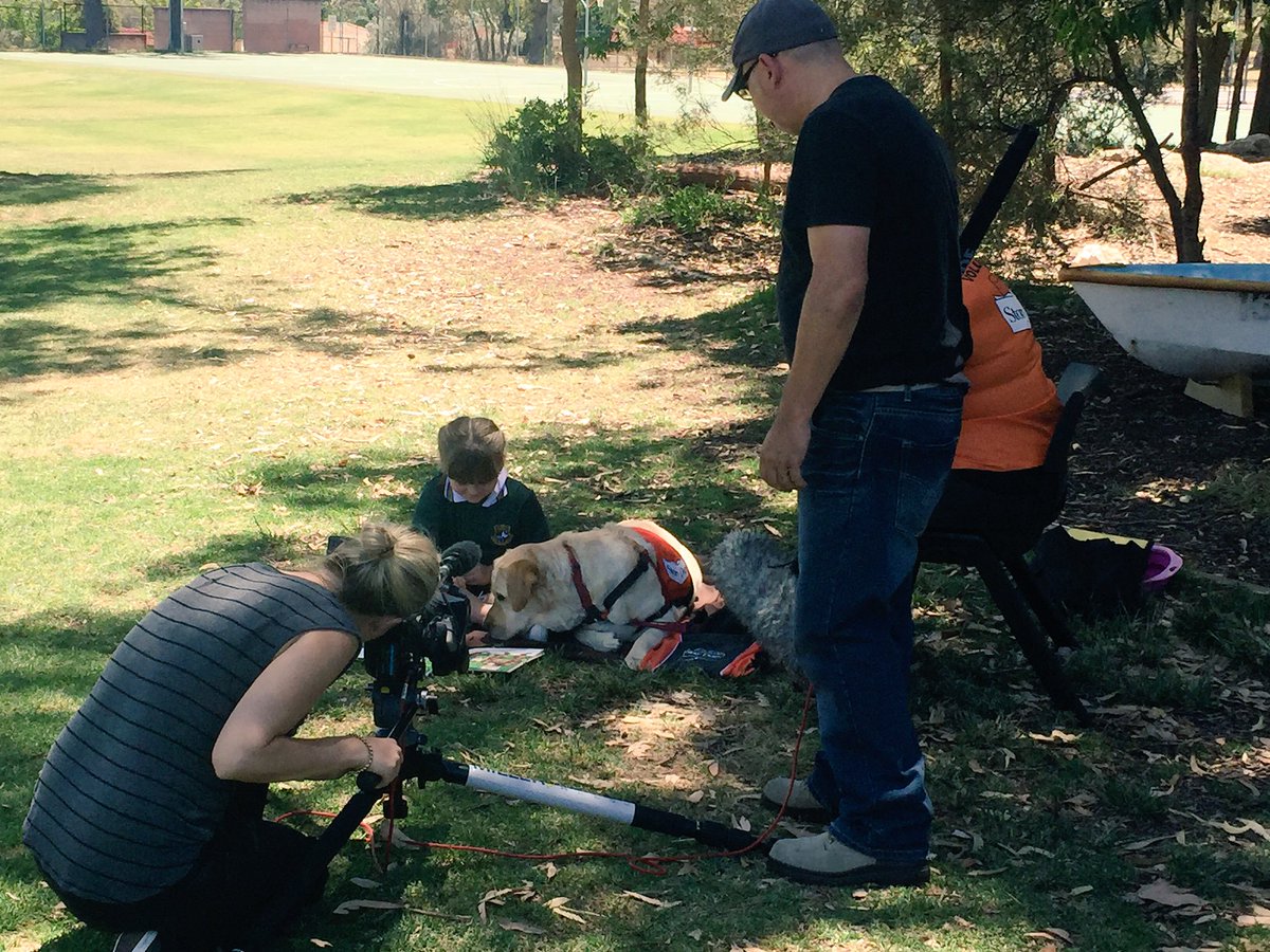 StVincentsPS's tweet image. A story for a documentary was filmed @StVincentsPS about working dogs. Jasmine and Taylor are famous! @StoryDogs #NationalGeographic #CEWA