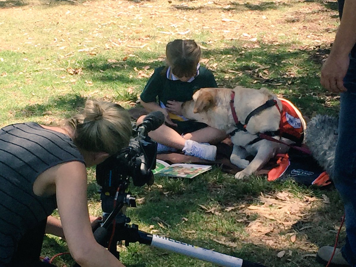 StVincentsPS's tweet image. A story for a documentary was filmed @StVincentsPS about working dogs. Jasmine and Taylor are famous! @StoryDogs #NationalGeographic #CEWA
