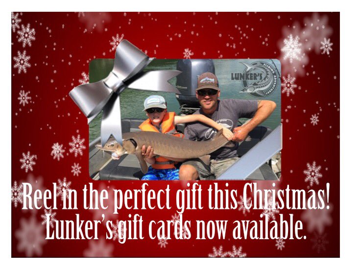Lunkers_Fishing's tweet photo. Christmas Gift Cards! 10% off on regular priced trips! https://t.co/dNAaPUnt56 #fishing #CatchandRelease #lunkers #Alberta #Edmonton https://t.co/KWnojEE6Me