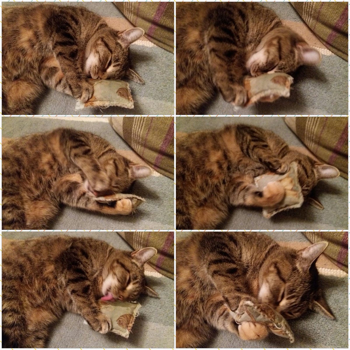 Emily Richard tweet media