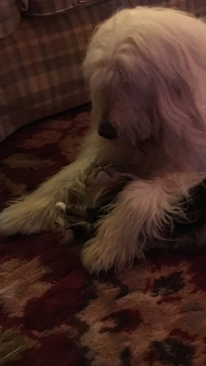 Deeverb's tweet image. True love