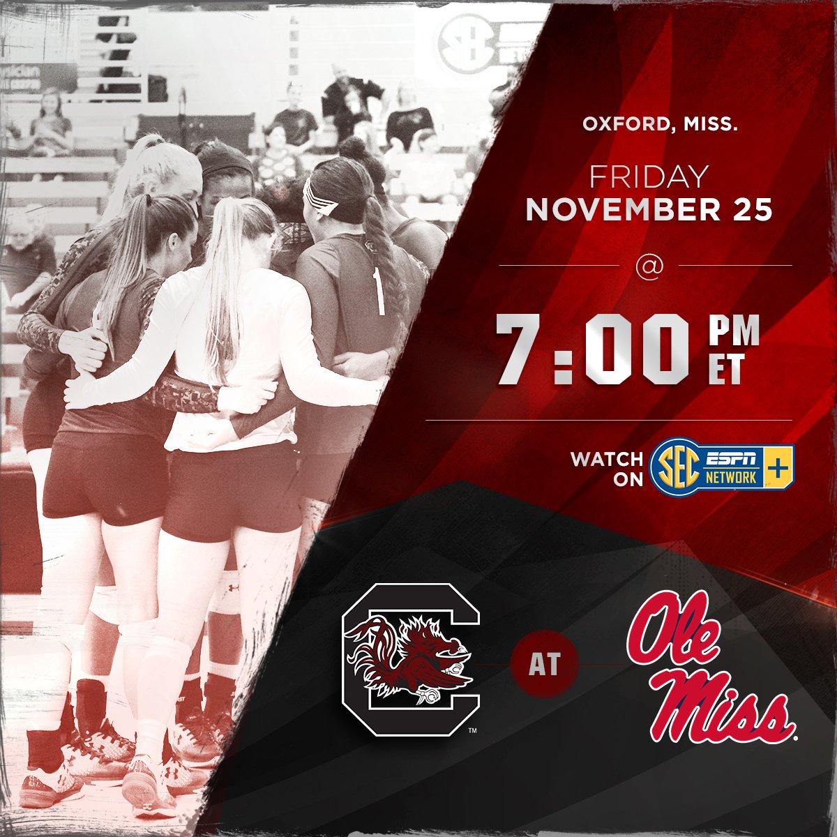 Gamecock Volleyball (GamecockVolley) Twitter