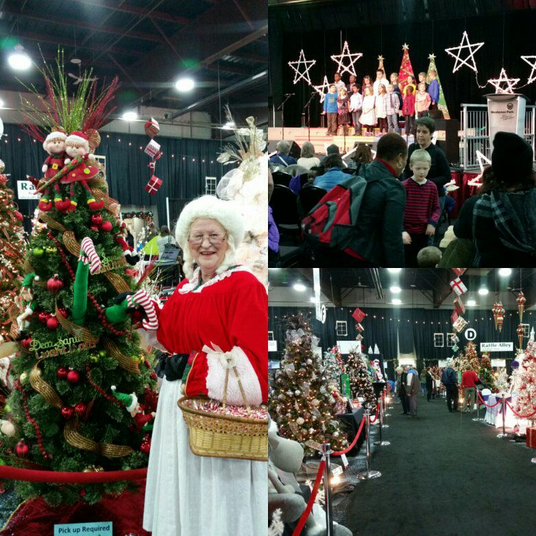 WesternerPark's tweet photo. Come down to #WesternerPark to join in the fun of @RDTreeFest! Tree room is open till 9PM tonight! #RDFoT https://t.co/QBhY6y2Tu1