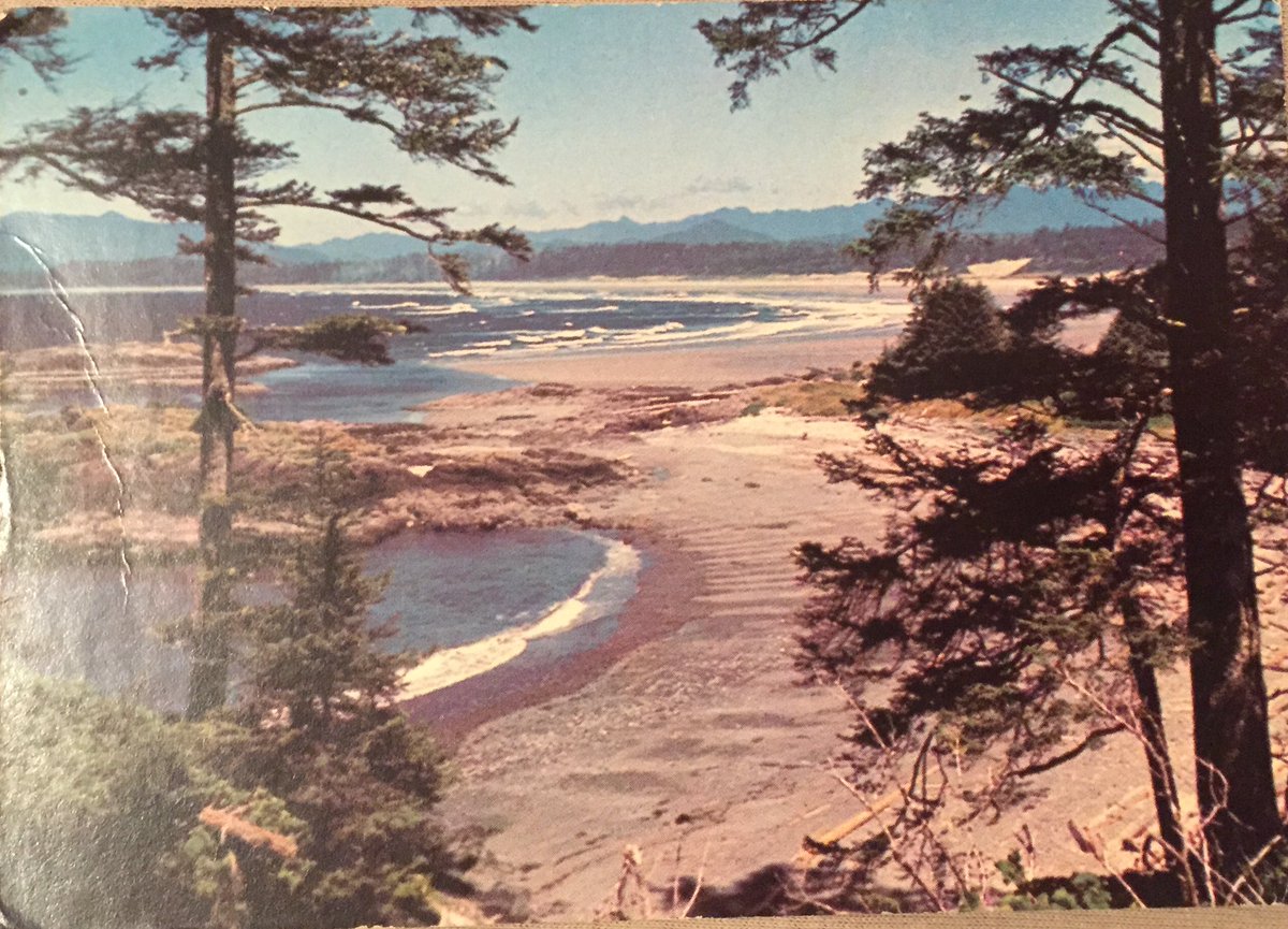 PostcardHistory's tweet photo. #postcard #1970s #canada #longbeach #vancouverisland #cooper #frintononsea @Canada @ExploreCanada @VanIsleVacation @VancIslandology @vigeek https://t.co/tVDiRpSES8