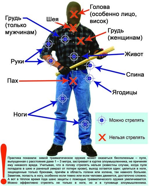 Уязвимые органы. Куда нельзя стрелять. Куда можно стрелять в человека. Нанесение ударов резиновой палкой.