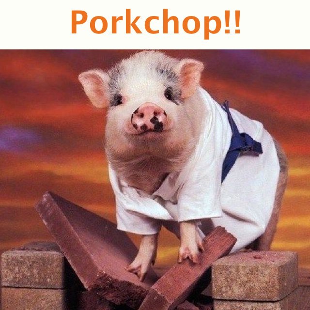 Cartoon_Mobile's tweet photo. What do you call a pig who knows karate? Porkchop! Get #PigEvolution! #fun #mobilegame #cute https://t.co/QD0pGcInQh https://t.co/yRNVupI6wd