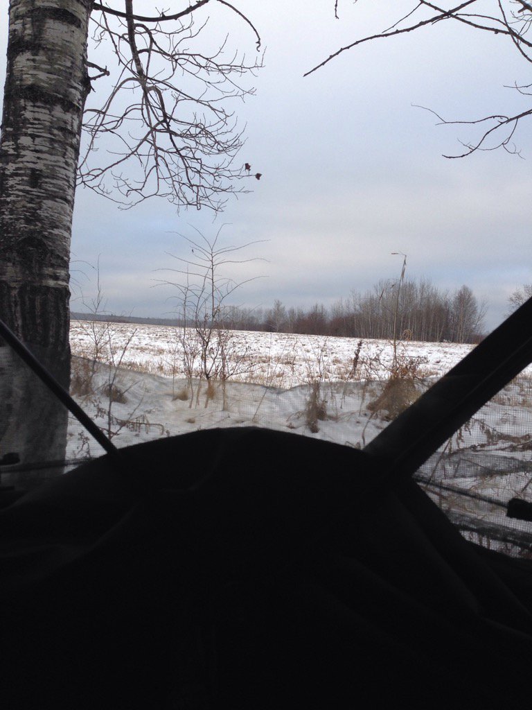 AlMclauchlan123's tweet photo. My view today. @petesprotackle @slinger_189 https://t.co/WhwA2qrmUA