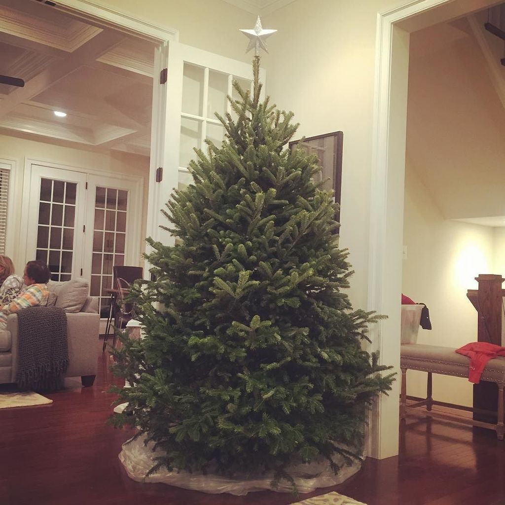 sonnyg's tweet photo. My first REAL Christmas tree in time for baby @savi.shay https://t.co/Ms74sxwhu8 https://t.co/tqAJjiTF00