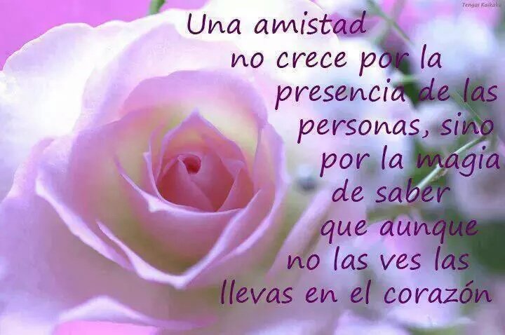 marinab2702's tweet photo. @GracejoPadre @AhmarHawa 
Descansa Moisés!  Que pase pronto ese dolor!  Bendecida noche para tod@s 🙏 https://t.co/d0kqiD1o8E