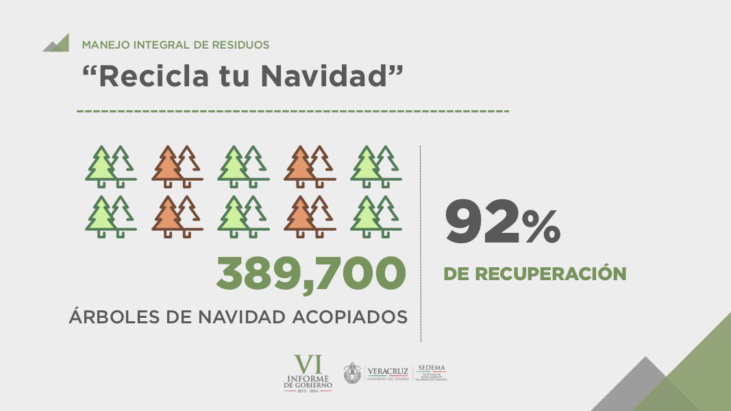 Acopiamos 389 mil 700 árboles durante los 6 años de la campaña Recicla Tu Navidad. #VIinformeFRA