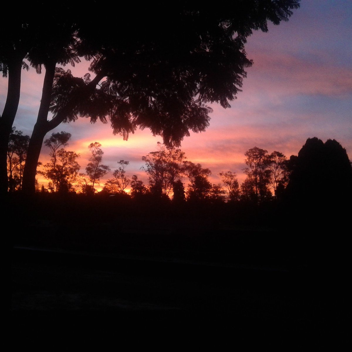Haniel_Lamas's tweet photo. En cualquier lugar, si se presta atención un momento podrás encontrar #LoQueTeMueve https://t.co/7cUPgYOo6D