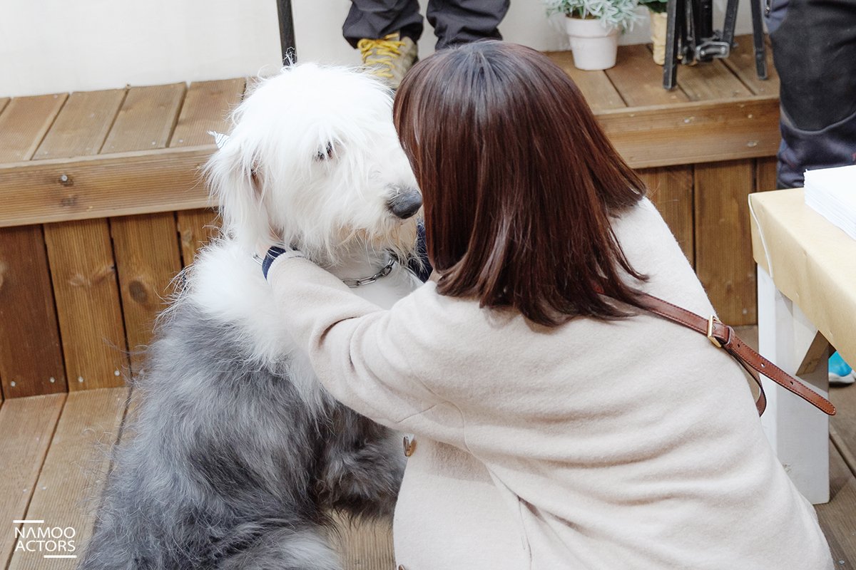 [#박은빈] 본방사수를 부르는 박은빈 배우의 미소와 청정 매력! 뭉치를 바라보는 은빈 배우의 따뜻한 눈빛 때문에 춥지 않네요! 오늘밤 10시 기대해주세요♬ MBC 주말특별기획 #아버님제가모실게요