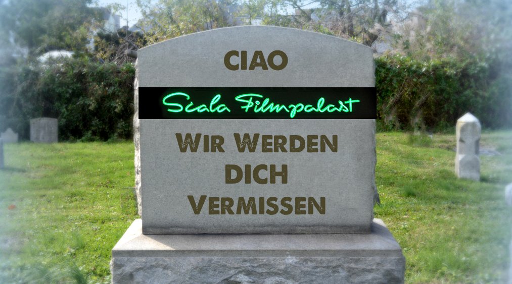 Fly Robin Fly tweet media