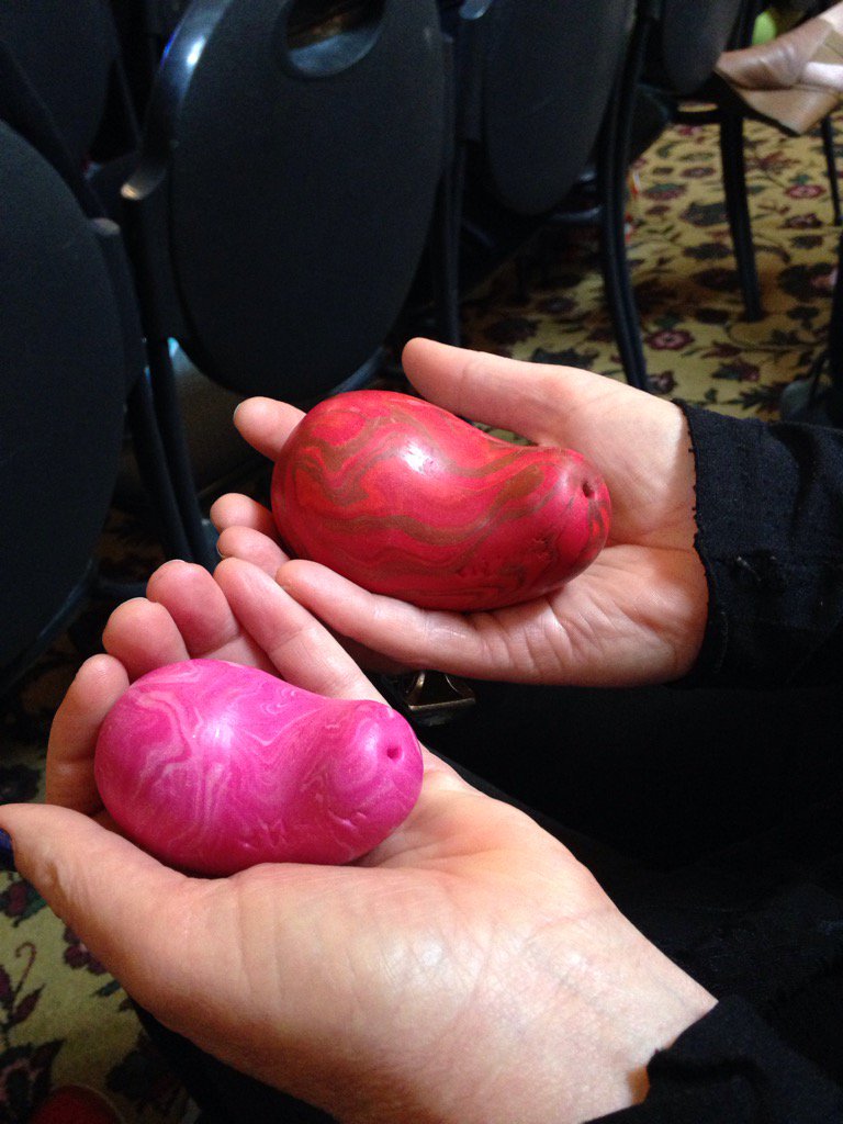 mezza_ezza's tweet image. Polymer wombs. At the back is start of period, at the front is at the end. Both surprisgly heavy #Breakthrough2016