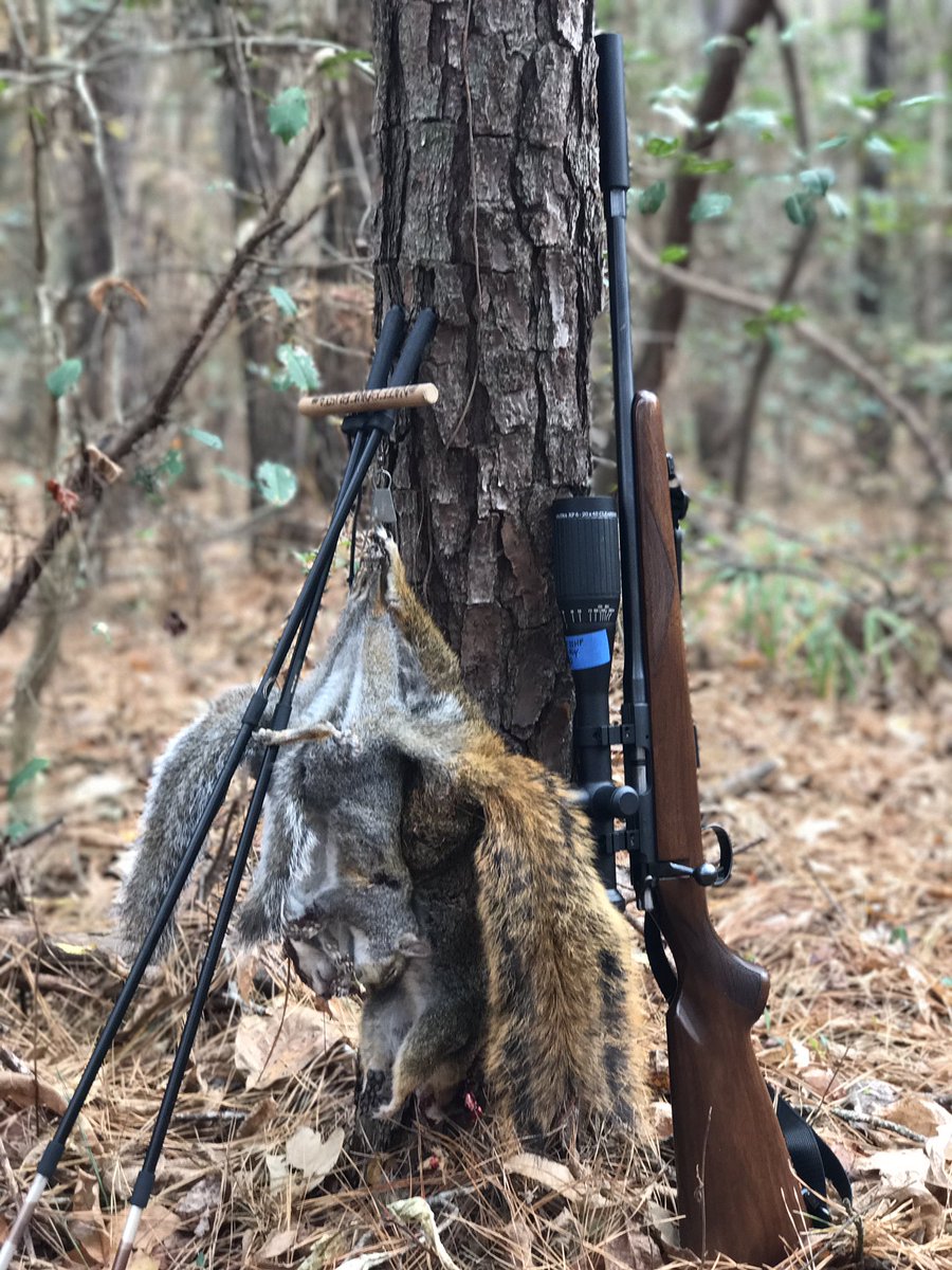 natebonebusta's tweet photo. My #BlackFriday was excellent because I opted for the peace and quiet of the #squirrelhunting woods. Got the NC limit #cz452 #22lr #rimfire https://t.co/mlpLFCDL1b