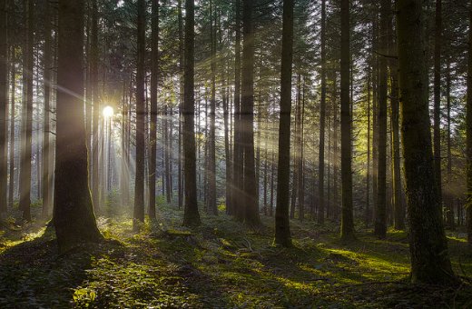 Morning, dears. Have a nice weekend.  ^_^