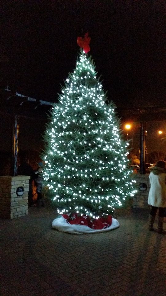 Downtown Elk River Business Association tweet media