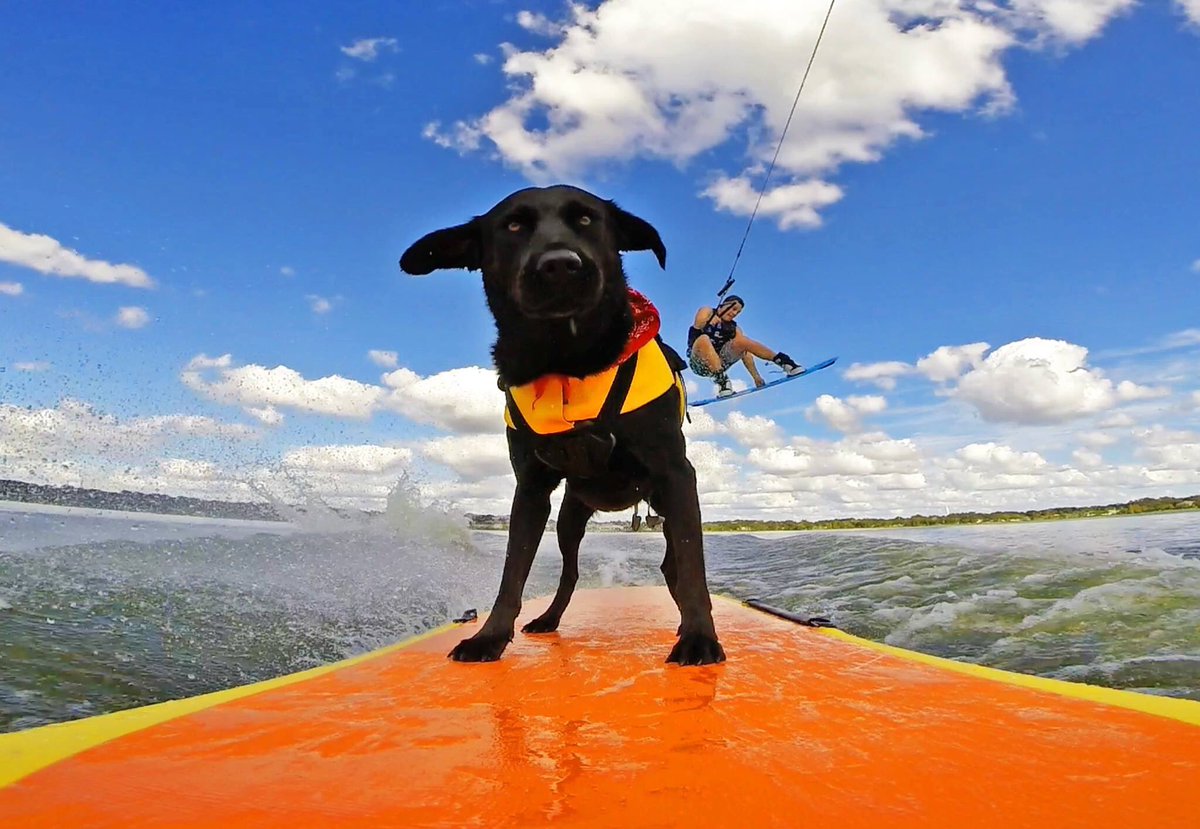 We got this. #paddlewithsol
