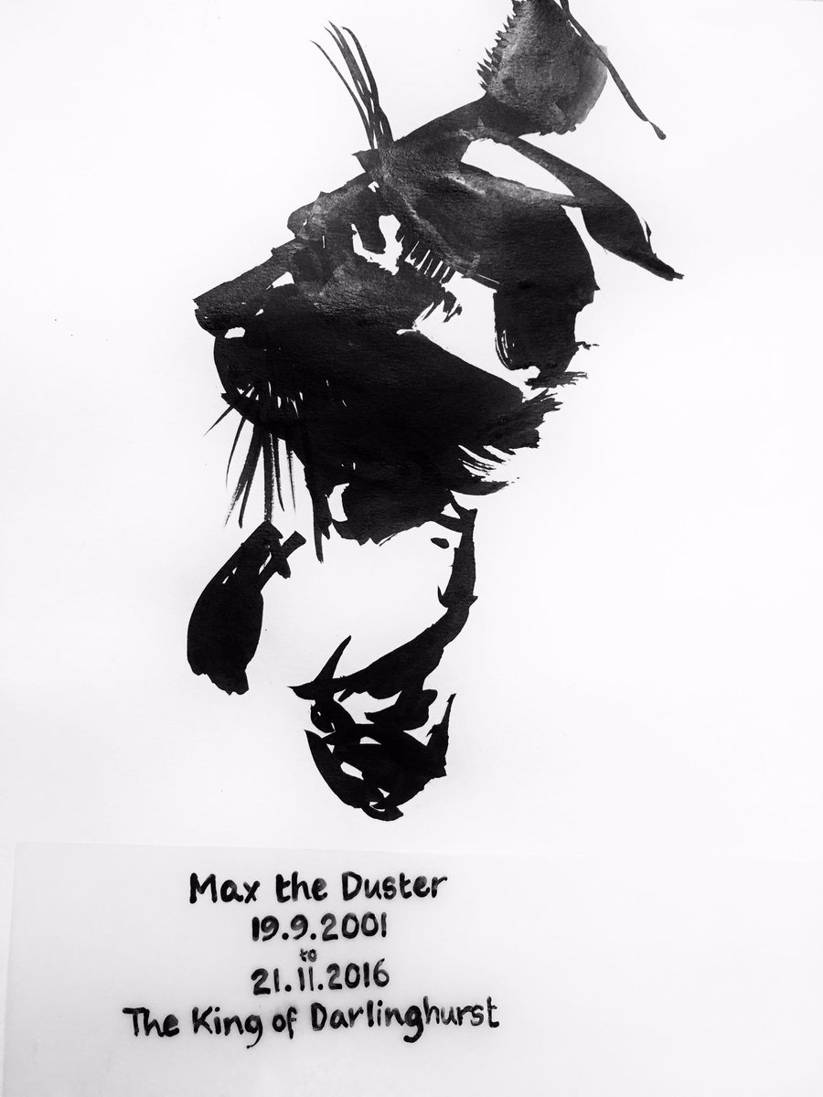 Max the Duster tweet media