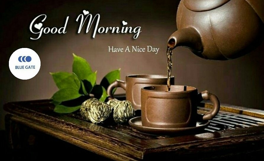 adeshola584's tweet photo. @bluegateworld Good morning BLUE GATE Family. Wishing you all a peaceful weekend filled with love and blessings. #BlueGate #BlueGateCares https://t.co/QhyZRMOQgD