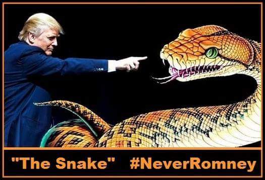 Trumpistheman's tweet photo. No To Mitt Romney, Donald Trump ! https://t.co/zceVYk9hjI