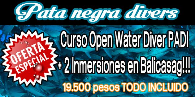 PataNegraDivers's tweet photo. https://t.co/4gpqCxAhYj https://t.co/DnsSNJ8pJF
