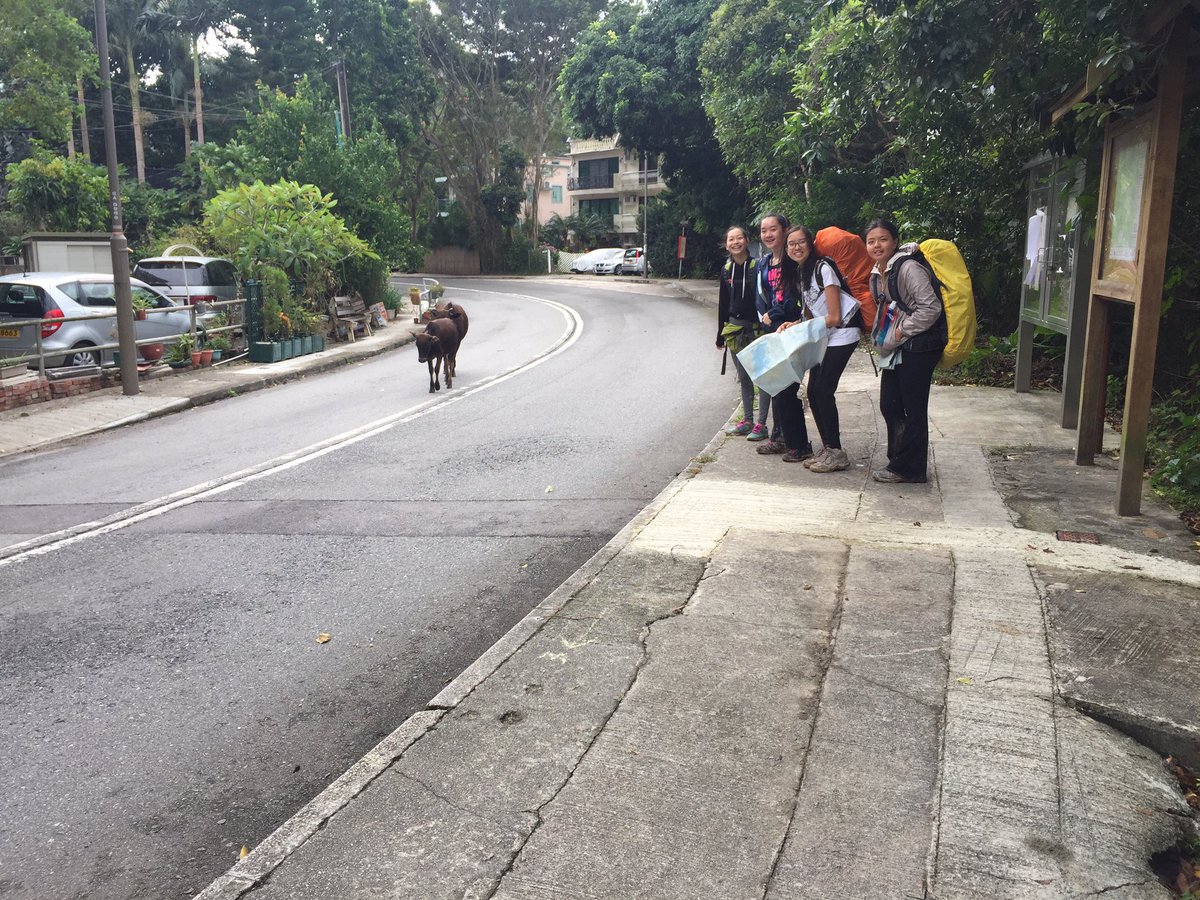 RebeccaTupling's tweet photo. 2nd overnight trip for the #silverlevel #AYP a huge success! #balancedstudents @casatcdnis #saikung #cdnisayp #cdnisus #cdnishk https://t.co/Ix7vuLfPfs