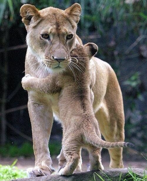 vincentmenezes's tweet photo. #WakeUp..
#ToAHug... 💏
#GoodMorningTwitterati! ⛅️ https://t.co/Wj8JeSTiwb