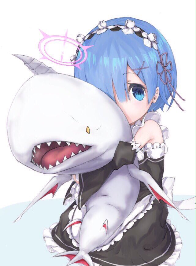 remu0731's tweet photo. おはようございます https://t.co/G7k1uyHLDD