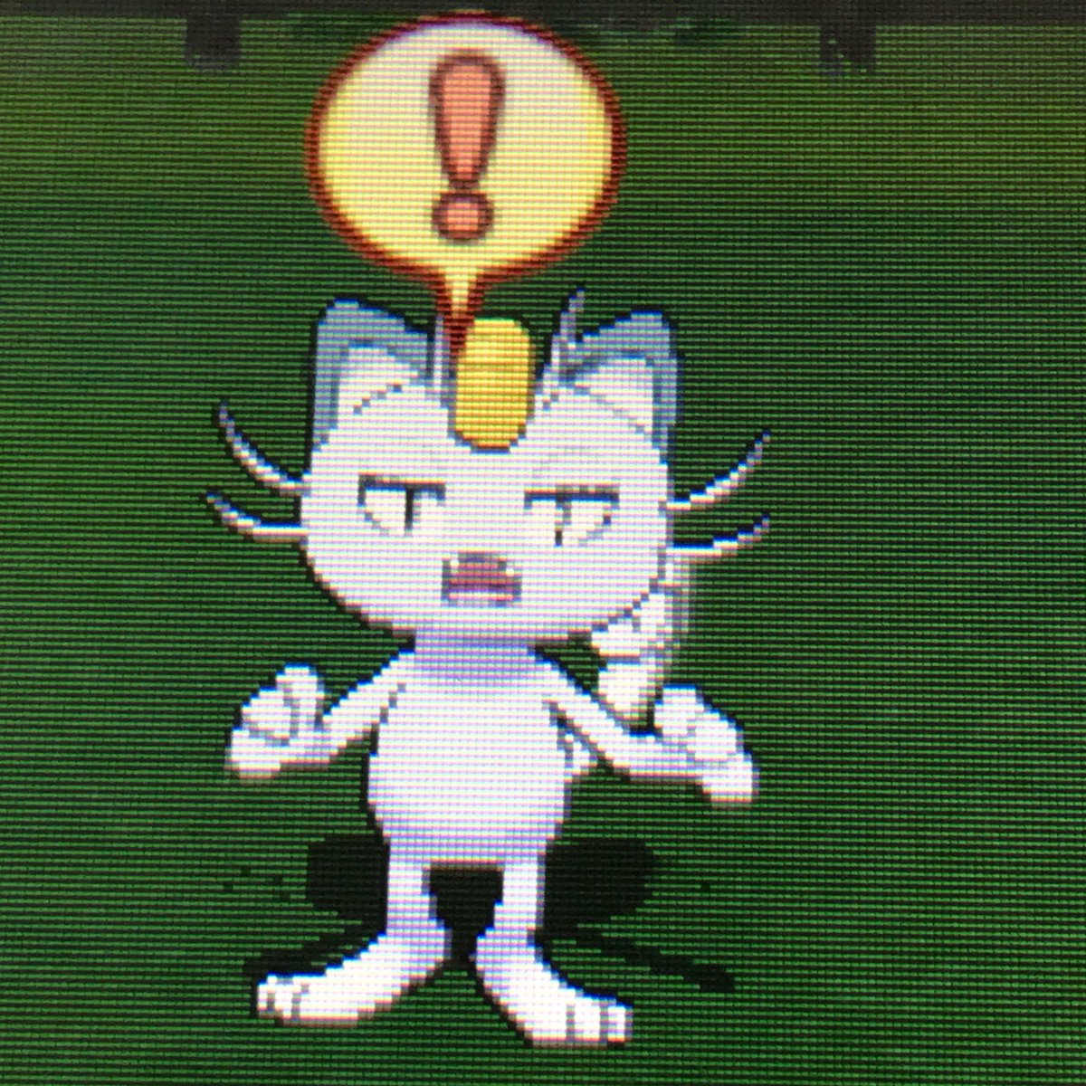 まごいち ファミ通実況ex まごチャンネル 爆睡してるアローラニャースをタッチペンで つんつんとしてやると ﾟdﾟ ﾊｯ と起きる 大きなあくび 何故か渾身のドヤァ 結論 かわいい ポケモンサンムーン