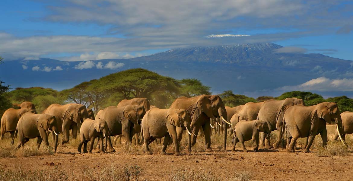 HassCho's tweet photo. KILIMANJARO, TANZANIA. https://t.co/wnd0rMQq7D
