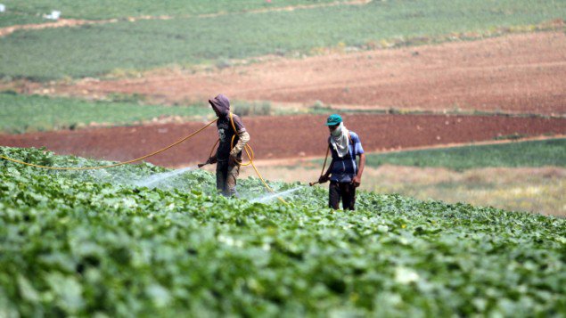 以色列基金将筹5000万美元投资农业技术 7newsworld.com/2016/11/25/%E4…