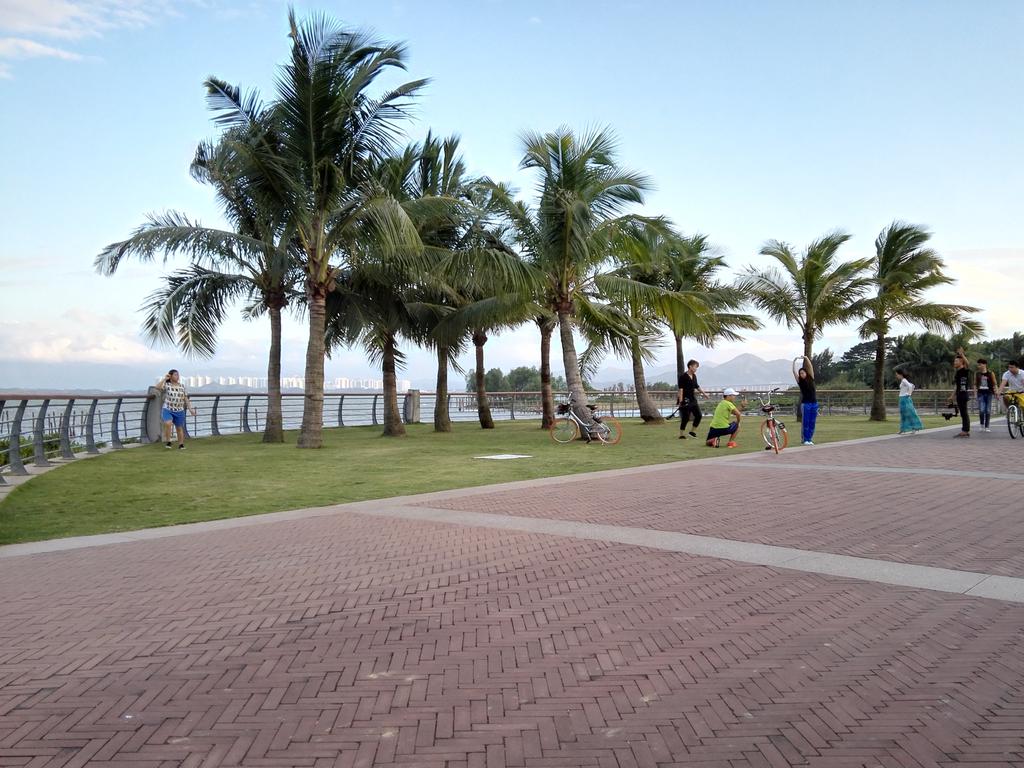 Victor_TJC's tweet photo. Captured in Shenzhen Bay https://t.co/jk7Rg1ByAz