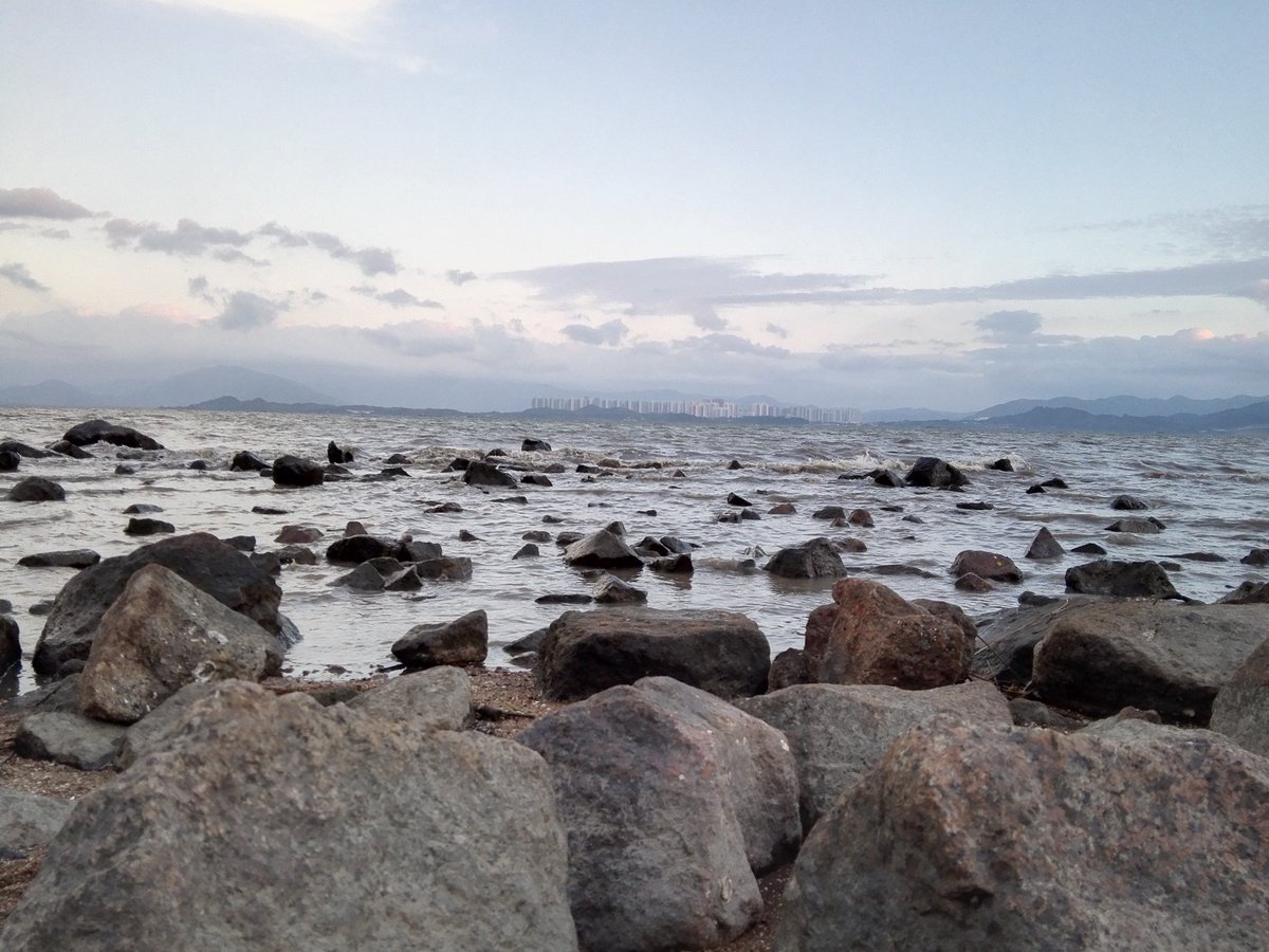 Victor_TJC's tweet photo. Captured in Shenzhen Bay https://t.co/jk7Rg1ByAz