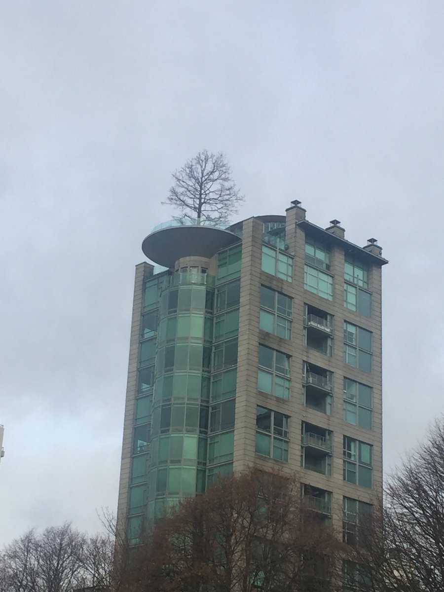 A place for a tree. #timeinvancouver