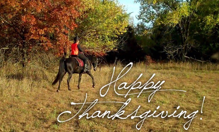 tech_polo's tweet photo. We hope you all had a wonderful Thanksgiving, and have safe travels back to Raiderland! We have a lot to be thankful for! #wreckem #ttupolo https://t.co/KCyuiZTQde