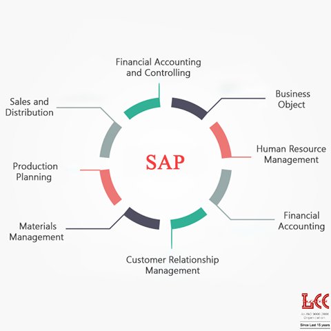 HRLCCInfoteh's tweet photo. Take your SAP online class from anywhere through LccInfotech.
#LccInfotech #SAPTraining #OnlineTraining https://t.co/tLXDqLCqHb