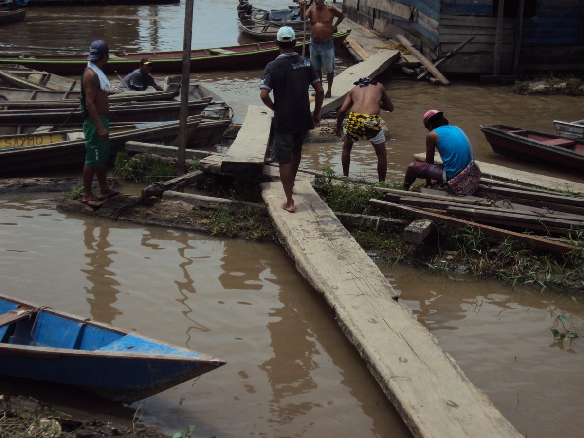 HotelInsonmia's tweet photo. El río es la historia de todo lo que se destruye, se pierde o desaparece en la selva
CARLO GINZBURG #Amazonas2016 https://t.co/EYtz4TByoT