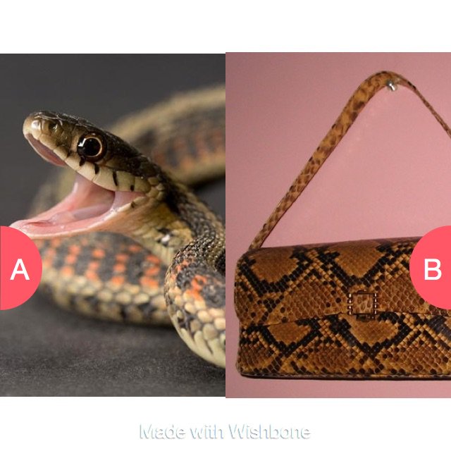 leokats's tweet photo. Who wore it better? https://t.co/IkPfV6yTJr
